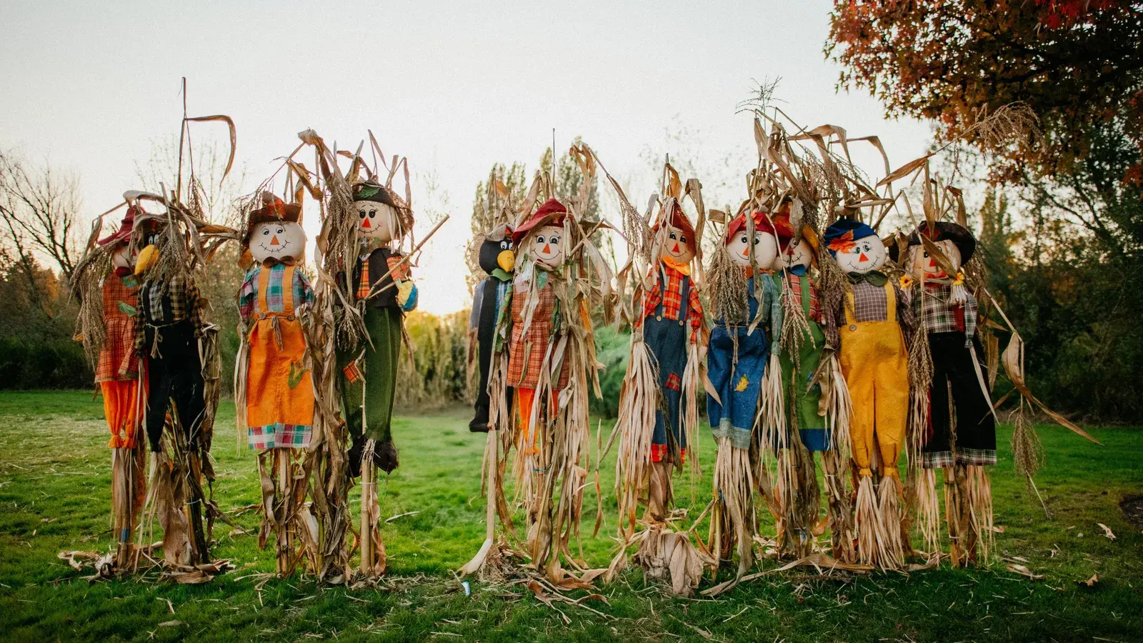 Scarecrows