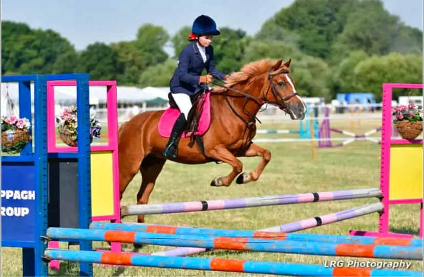 Show Jumping